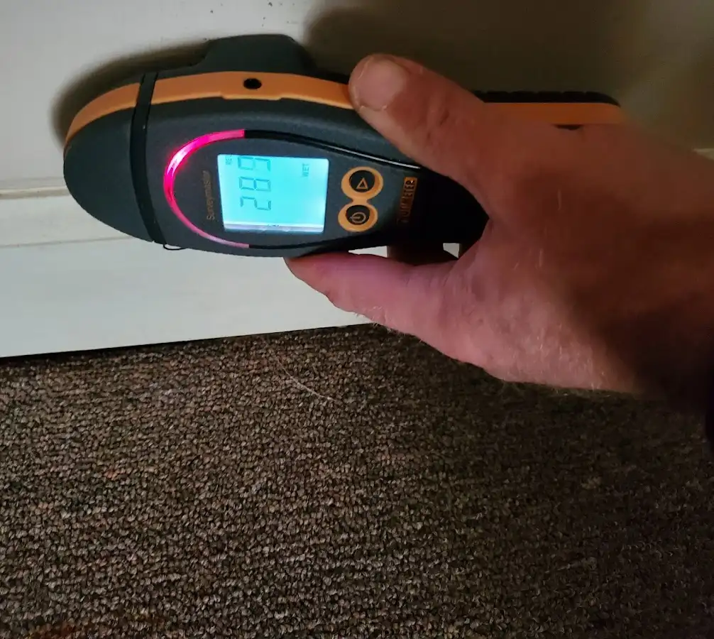 Moisture detection at baseboard during Sewage Cleanup & Sanitation in Wappinger